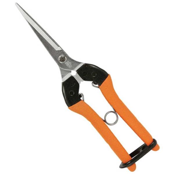 サボテン ロング芽切はさみ