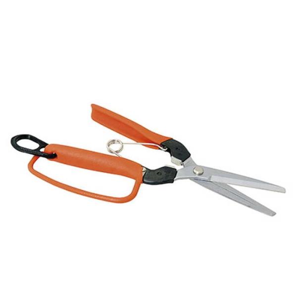 サボテン 衝撃吸収 青果はさみガード付