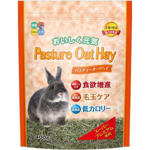 ハイペット 小動物 小動物フードの主食 パスチャーオーツヘイ ４００ｇ ペット用品｜hcvalor