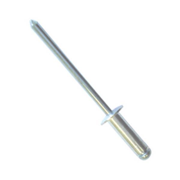 PICUS ブラインドリベット1000入 TA6-4 [作業工具 クランプ・バイス 販促 クランプ・...