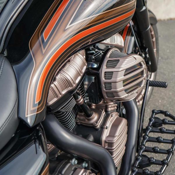 Arlen Ness 10ゲージ M8・ロッカーボックスカバー チタニウムアノダイズ