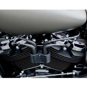 M8 ソフテイル アイアン・ダービーカバー (グロスブラック