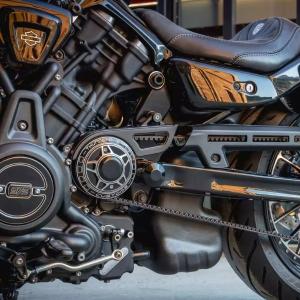 Harley Davidson（ハーレー・ダビッドソン） ヒートシールド ライナー