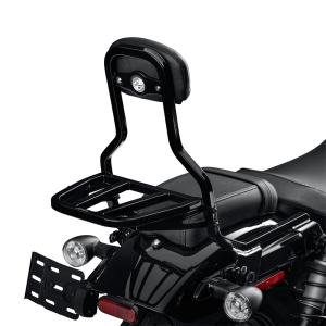 ナイトスター/S 21インチ シーシーバー パッド付 (グロスブラック