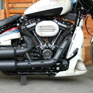 563592 CULT WERK ポイントカバー