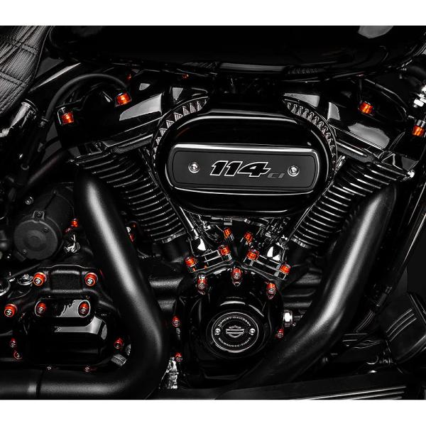 ハーレー ソフテイル ツーリング M8エンジン用 Chachos デラックスエンジンボルトキット レ...