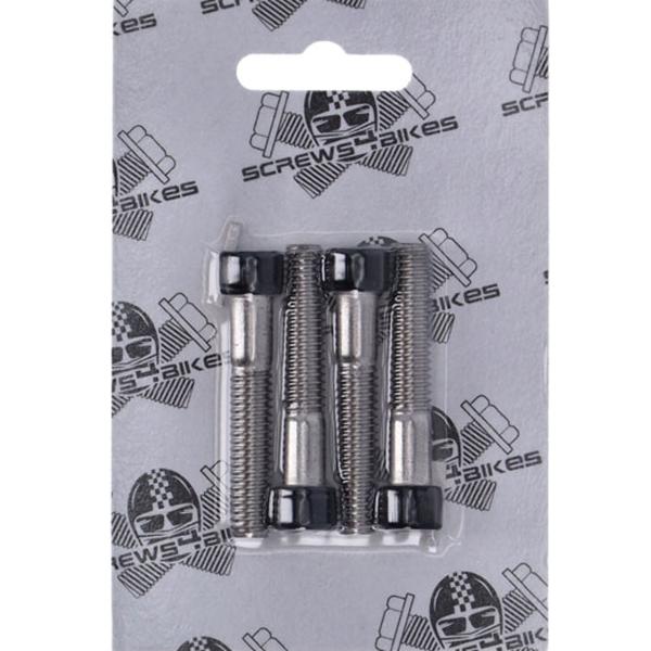 M8 ファットボーイ、ヘリテイジクラシック、デラックス、スリム フロントフェンダーボルトセット (グ...