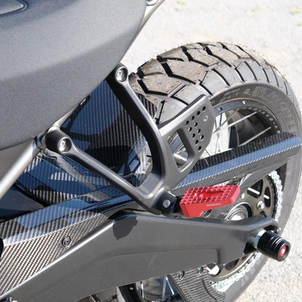 パンアメリカ ドライカーボンリアフェンダー (綾織/艶あり) SPEEDRA