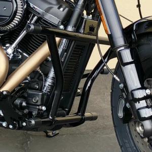 FCB18F-S Bung King　ハイウェー・ペグ　2ステップ・クラッシュバー