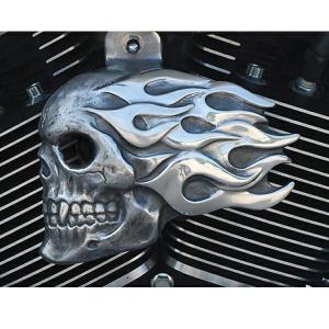 FS-356-2 クロームドーム フレイムスカル ホーンカバー