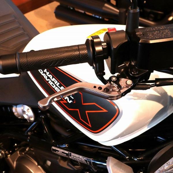 ハーレー  X350、X500 ショート・アジャスタブルレバーセット (チタン/ブラック) スピード...