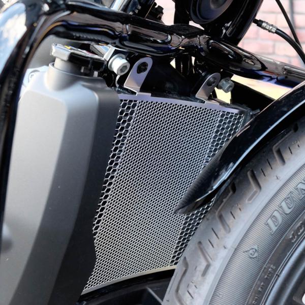 ナイトスター RH975 ラジエターコアガード シルバー 寺田モータース