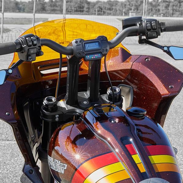 Rick's Motorcycles Clubstyle 10インチ プルバックライザー M8 ロー...