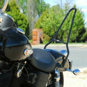 ハーレー純正 ワンピースデタッチャブル・パッセンジャーシーシーバー