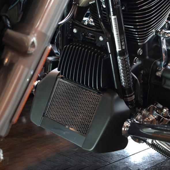 寺田モータース TMO-RG-3 オイルクーラーコアガード M8ツーリング用