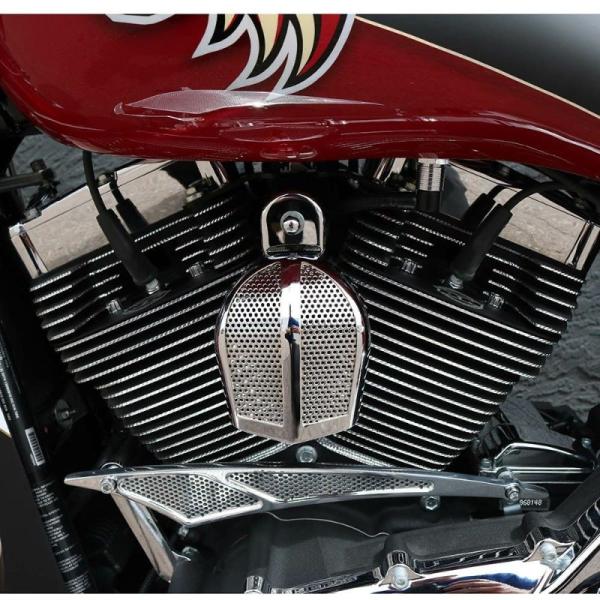 ポールヤフィー Paul Yaffe's Bagger Nation Wedgy Speed Fre...