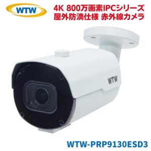 塚本無線 みてるちゃんWSP WTW-WSP12X 防犯カメラ パンチルト ソーラー