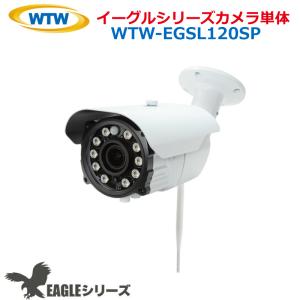 塚本無線 みてるちゃんWSP WTW-WSP21X 防犯カメラ パンチルト ソーラー