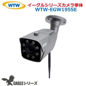 防犯カメラ 365万画素 機器間Wi-Fi対応IPネットワークシリーズ 屋外仕様 防犯灯カメラ カメラ単体 塚本無線 イーグルシリーズ WTW-EGW195SE カメラ単体