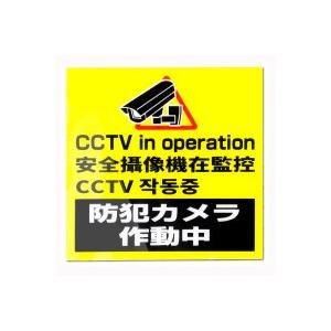 防犯ステッカー アクリル板 4か国語 日本語 英語 中国語 韓国語 対応防犯シール 正方形 犯罪防止 並行輸入品 Dtk Pl03 テロ対策 万引き防止 店舗防犯 レジ防犯
