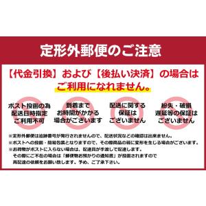 防犯ブザー 防犯アラーム お知らせブザー お試...の詳細画像1