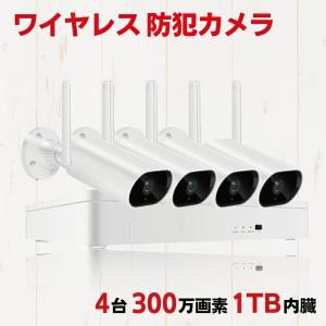 防犯カメラ 監視カメラ DXアンテナ カメラ 200万画素 遠隔監視 防水