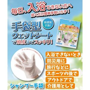 シャンプー 手袋 ドライシャンプー 手袋シャンプー ポイント消化