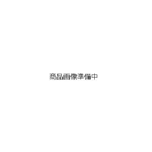 ADVANTAGE/アドバンテージ マスターシリンダー ブラック本体 シルバーレバー クラッチ19φ