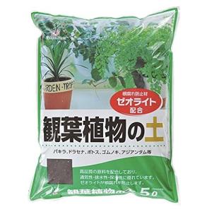 観葉植物用の土人気おすすめランキング15選 虫がわかない土は 室内向きのものも紹介 セレクト Gooランキング