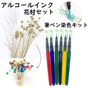 おうち時間 アルコールインク 筆ペン 6本 染色キット 花材セット 着色 簡単 Spkit0126 お花の贈り物そらーる 通販 Yahoo ショッピング