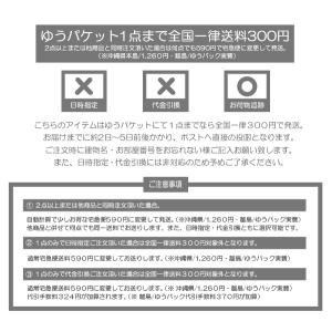 チャンピオン Tシャツ メンズ アメカジ 半袖...の詳細画像1