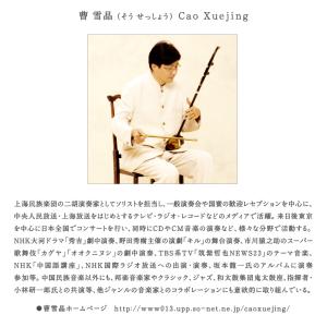 【公式】クーポン配布中/癒〜二胡 CD BGM...の詳細画像4