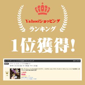 【公式】クーポン配布中 / ハワイアン・リラク...の詳細画像1