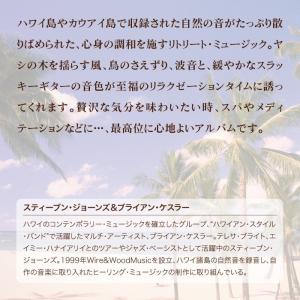 【公式】クーポン配布中 / ハワイアン・リラク...の詳細画像3