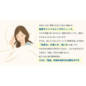 【公式】クーポン配布中 / 免疫力活性のための...の詳細画像5