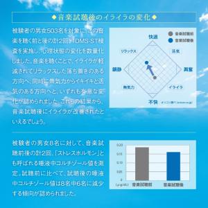 【公式】クーポン配布中 / イライラ解消のため...の詳細画像3