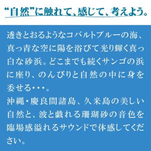 【公式】クーポン配布中 / 波〜慶良間・久米島...の詳細画像1