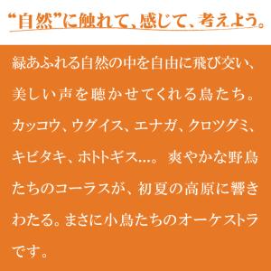 【公式】クーポン配布中 / 小鳥のさえずり C...の詳細画像1