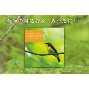 【公式】クーポン配布中 / 小鳥のさえずり C...の詳細画像4