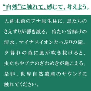 【公式】クーポン配布中 / 白神山地 ヒーリン...の詳細画像1