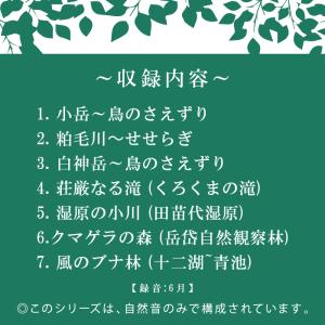 【公式】クーポン配布中 / 白神山地 ヒーリン...の詳細画像2
