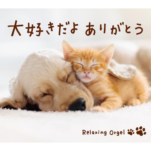 【公式 | クーポン配布中】α波オルゴール 大好きだよ ありがとう CD BGM 癒しの音楽  リラ...