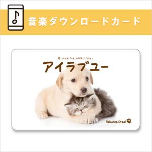 【公式】試聴できます / 音楽ダウンロードカード / アイラブユー〜癒しのオルゴール J-POPコレクション BGM 癒し リラックス 健康グッズ