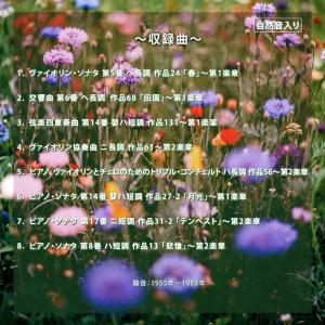 【公式】クーポン配布中 / クラシック・リラク...の詳細画像2