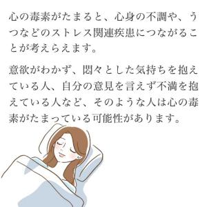 【公式】クーポン配布中/心を整える メンタルデ...の詳細画像4