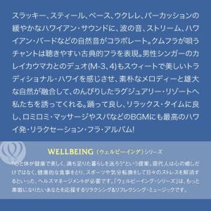 【公式】クーポン配布中/フラヒーリング CD ...の詳細画像2