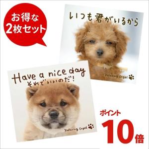 通常価格3,300円【P10倍】 頑張るあなたへ贈る α波オルゴールセット CD BGM 福袋 リラックス ヒーリングミュージック 癒しの音楽 J-POP ウェディング