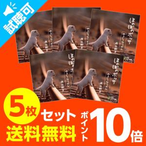 通常価格9,900円【P10倍】ほのぼのボッサ5...の商品画像