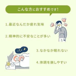 通常価格3,960円【P10倍】究極の眠れる音...の詳細画像1
