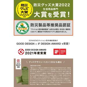 【メーカー直送品送料無料】 【代引き不可】 『...の詳細画像2